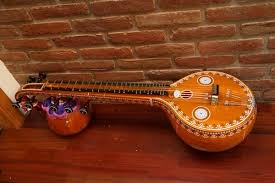 Sitar Side View